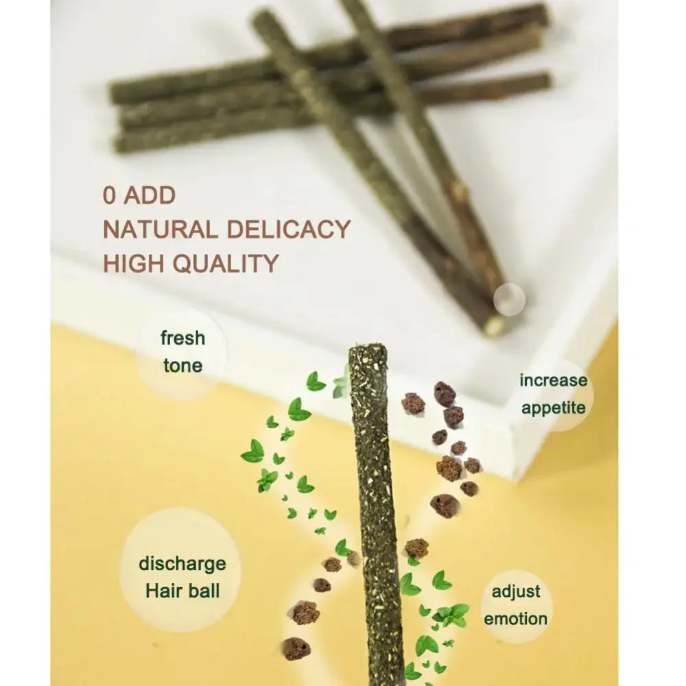 Exciting 6Pcs Natural Matatabi Cat Mint Sticks - Perfect for Teeth Cleaning and Playtime Fun!