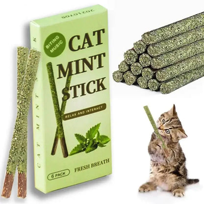 Exciting 6Pcs Natural Matatabi Cat Mint Sticks - Perfect for Teeth Cleaning and Playtime Fun!