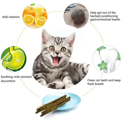 Exciting 6Pcs Natural Matatabi Cat Mint Sticks - Perfect for Teeth Cleaning and Playtime Fun!
